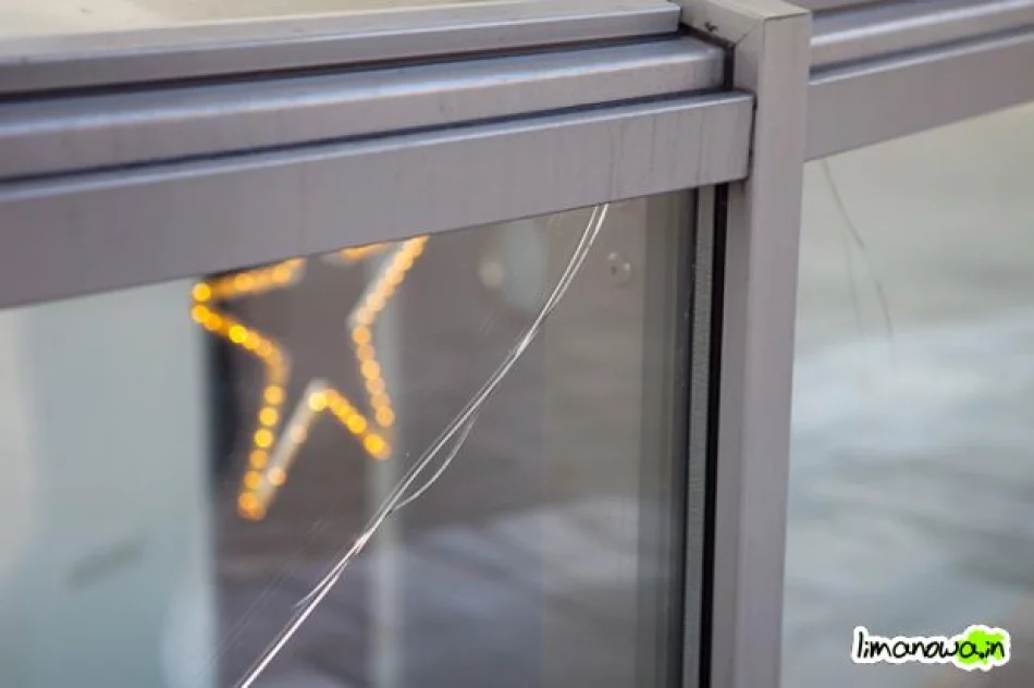 Buzodrom w styczniu 2011 - zdjęcie 5