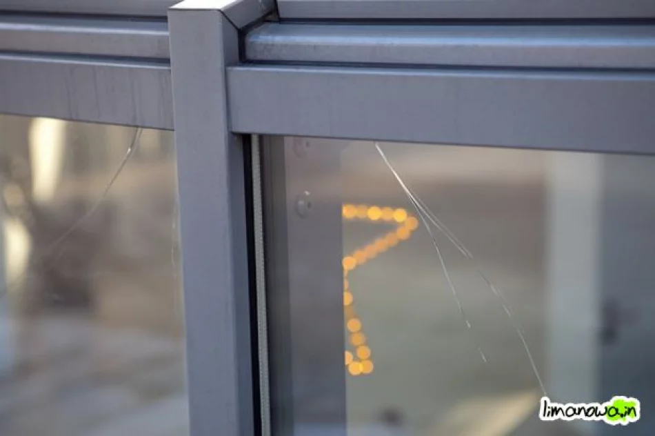 Buzodrom w styczniu 2011 - zdjęcie 6