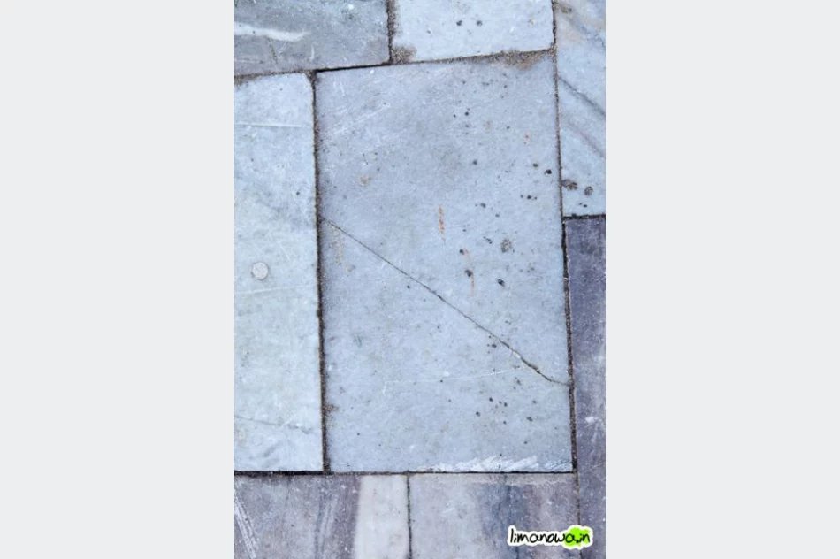 Buzodrom w styczniu 2011 - zdjęcie 7