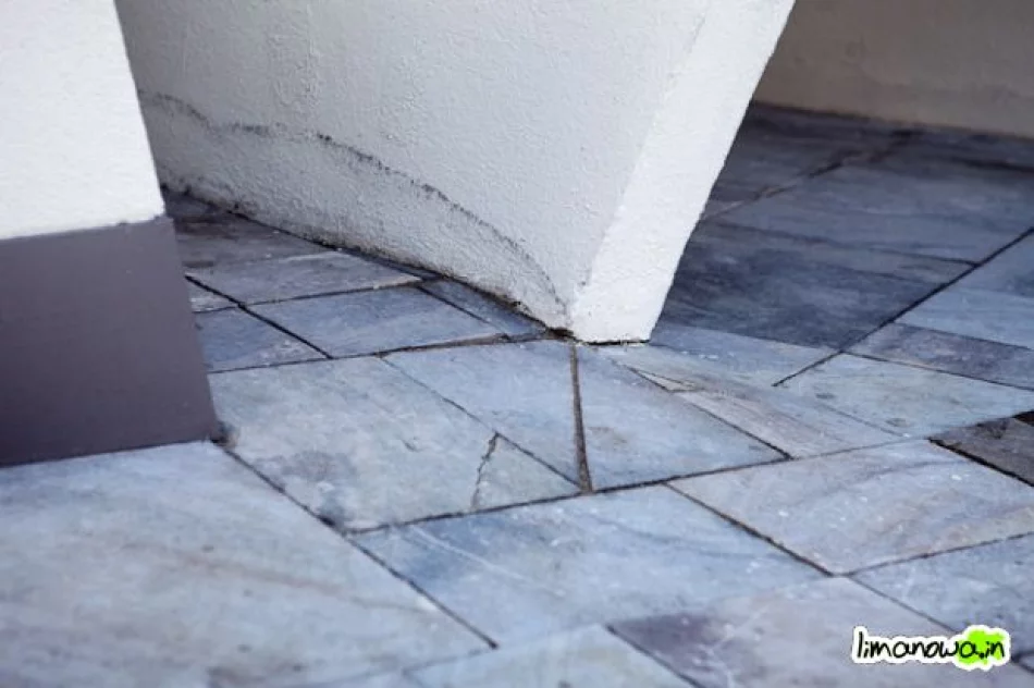 Buzodrom w styczniu 2011 - zdjęcie 8