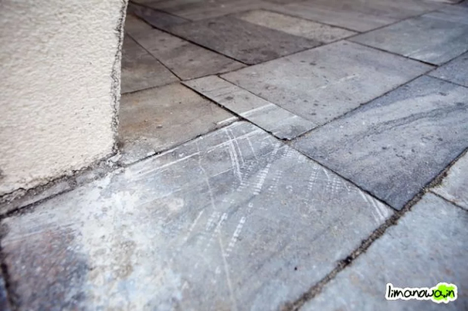 Buzodrom w styczniu 2011 - zdjęcie 11