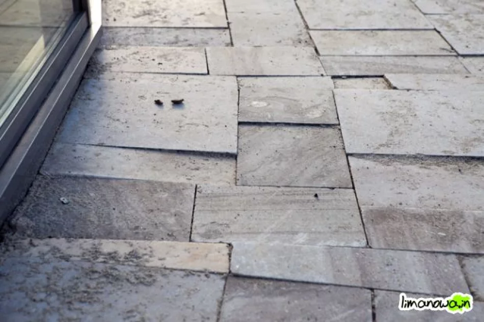 Buzodrom w styczniu 2011 - zdjęcie 12