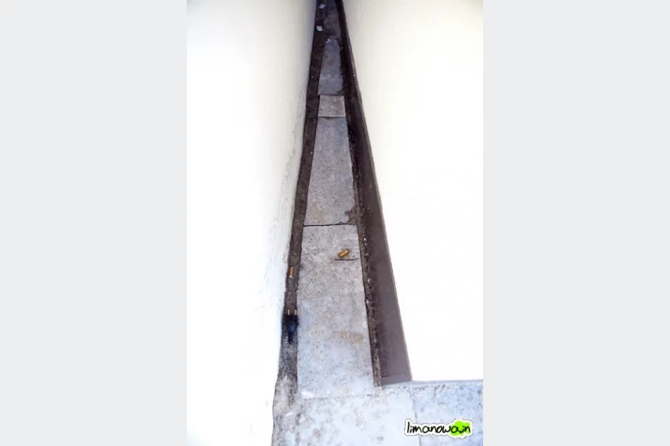 Buzodrom w styczniu 2011 - zdjęcie 14