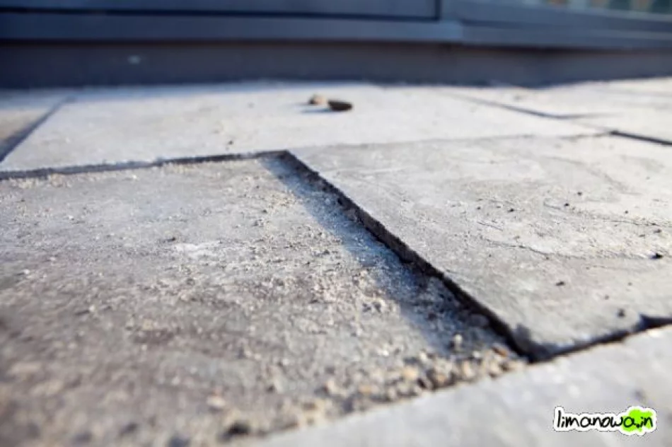 Buzodrom w styczniu 2011 - zdjęcie 15