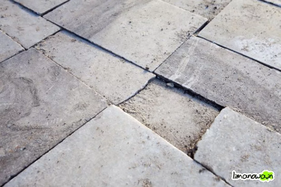 Buzodrom w styczniu 2011 - zdjęcie 16