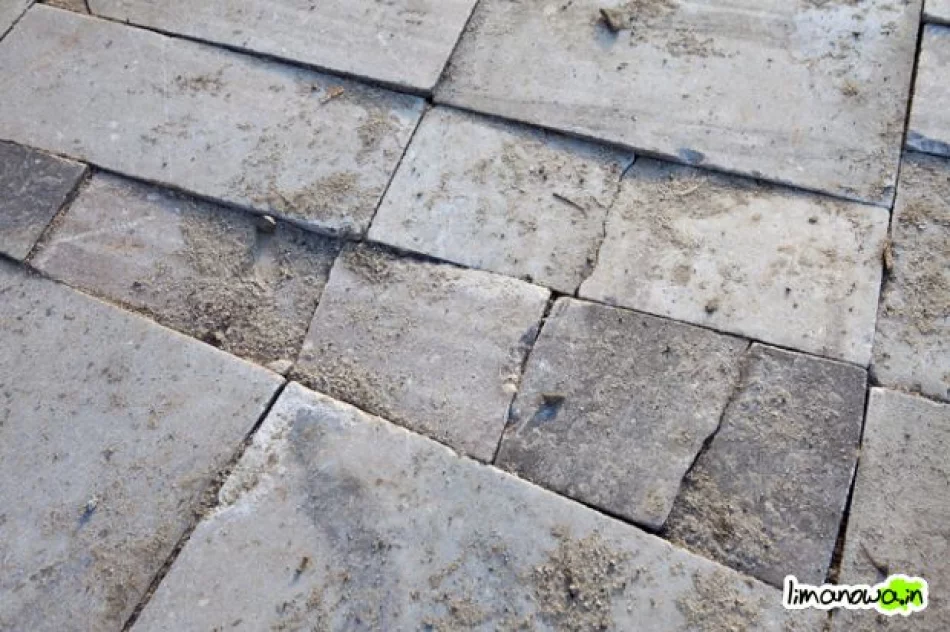 Buzodrom w styczniu 2011 - zdjęcie 17