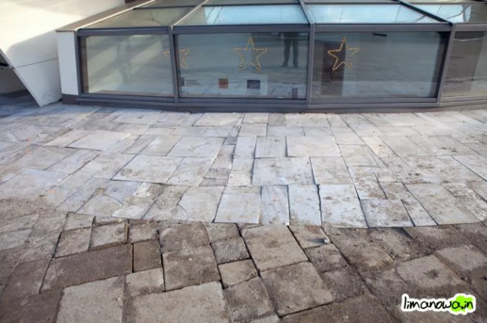 Buzodrom w styczniu 2011 - zdjęcie 19