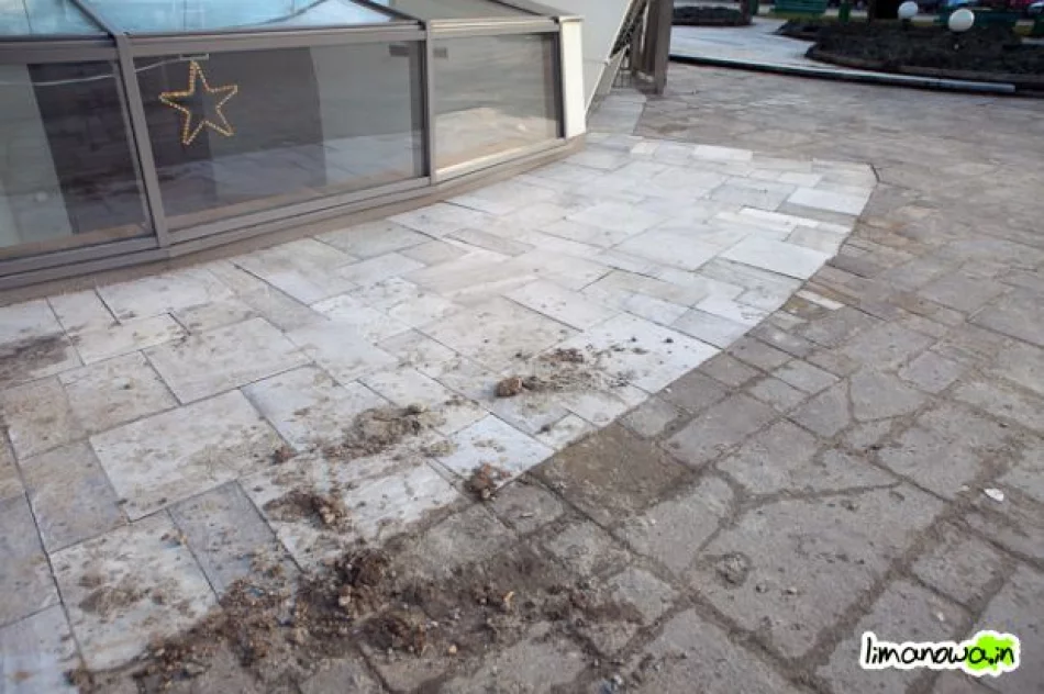 Buzodrom w styczniu 2011 - zdjęcie 20