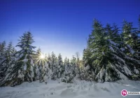 Meteorolodzy ostrzegają: silny mróz - zdjęcie główne