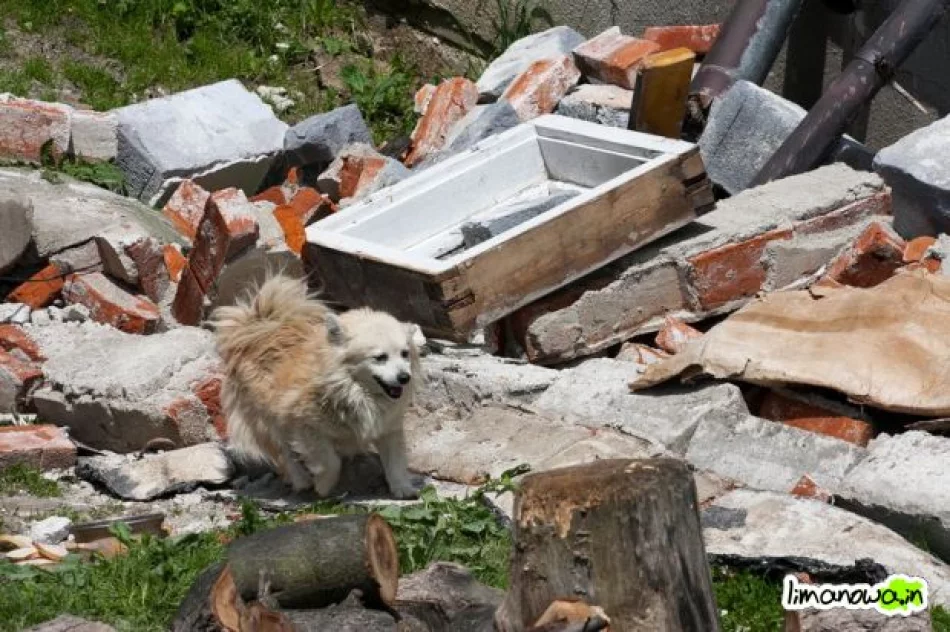 Kłodne w obiektywie - zdjęcie 6