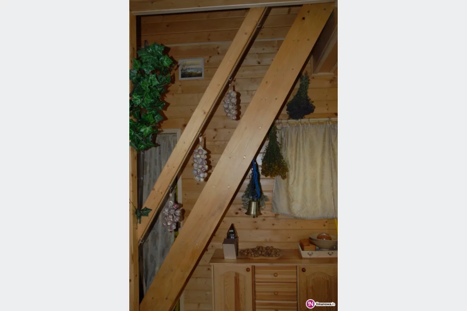 Zioła w profilaktyce przeziębień. Część I - zdjęcie 3