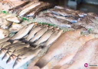 Nieprawidłowości w sklepach i hurtowniach. Jak kupować ryby na święta? - zdjęcie główne