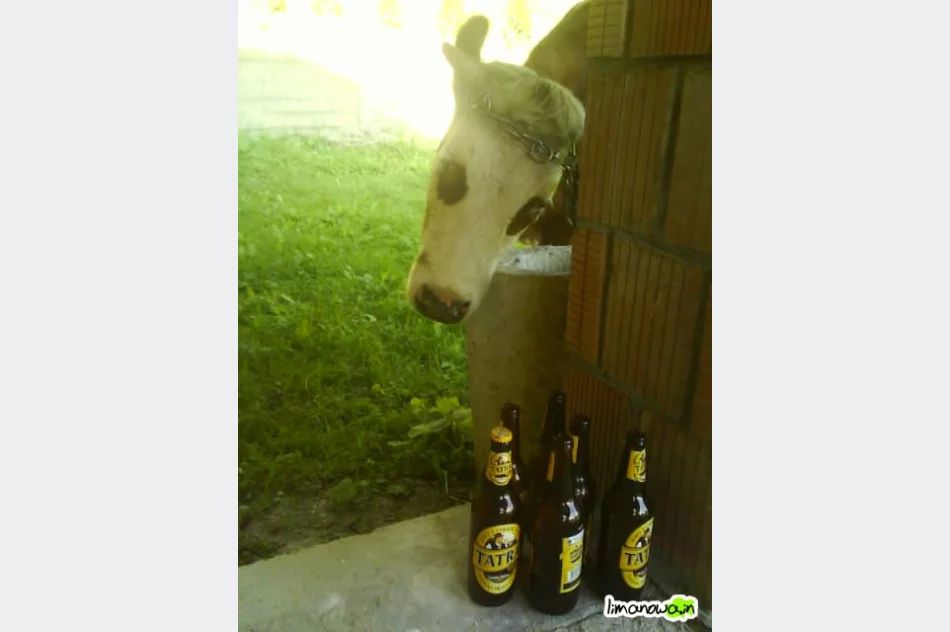 Paradoksy okolicy ;) - zdjęcie 5