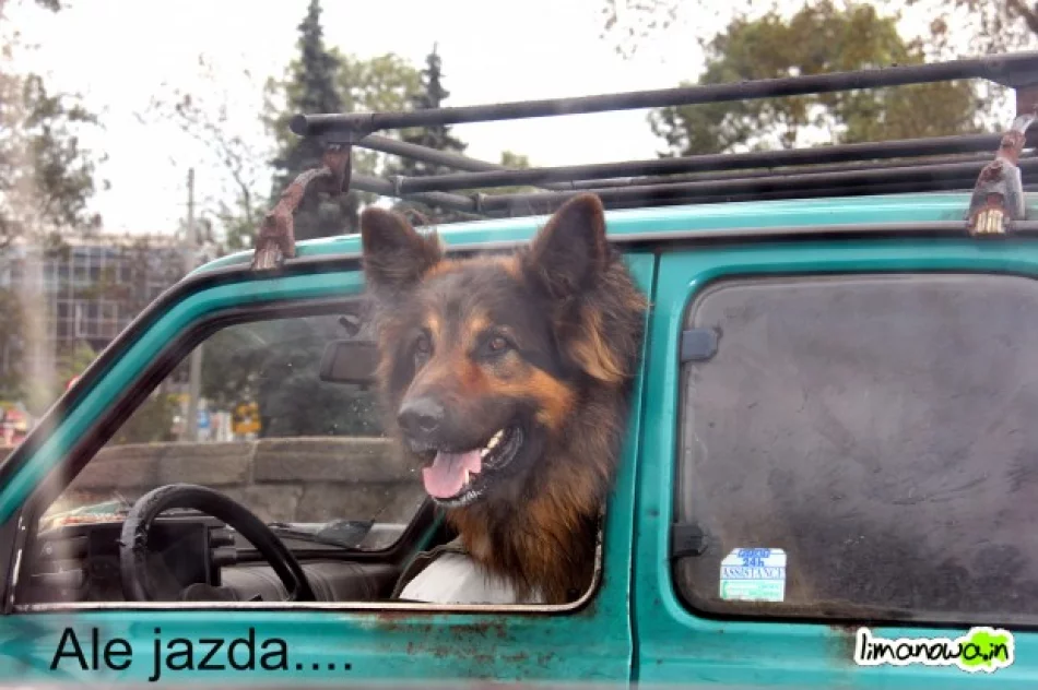 Paradoksy okolicy ;) - zdjęcie 16