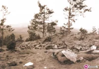 Obchody kolejnej rocznicy bitwy - zdjęcie główne