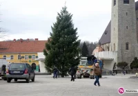 Na płycie rynku pojawiła się choinka - zdjęcie główne