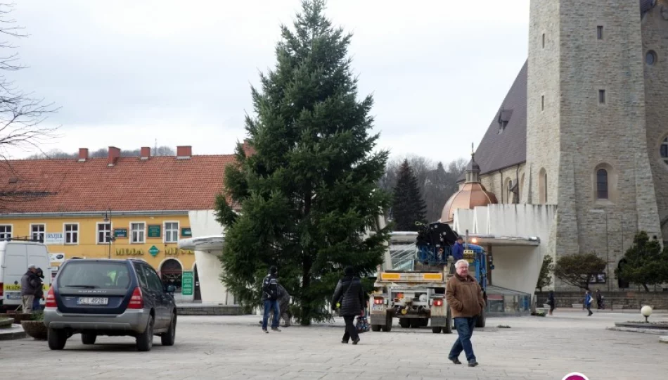 Na płycie rynku pojawiła się choinka - zdjęcie 1