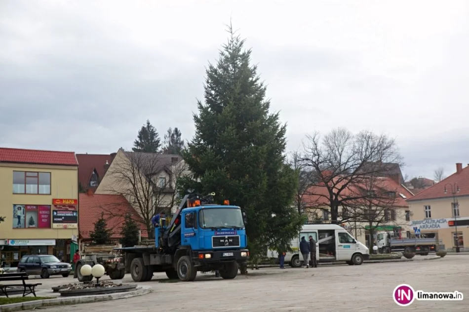 Na płycie rynku pojawiła się choinka - zdjęcie 2