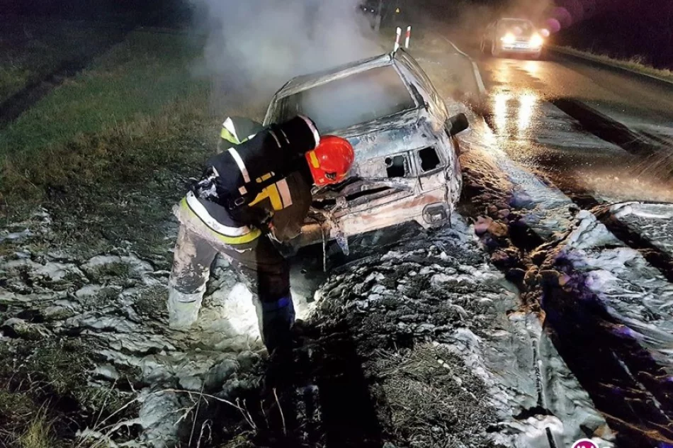 Spłonął samochód - znajdował się w przydrożnym rowie - zdjęcie 3