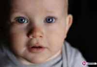 Zostało zaszczepionych 2636 dzieci - zdjęcie główne