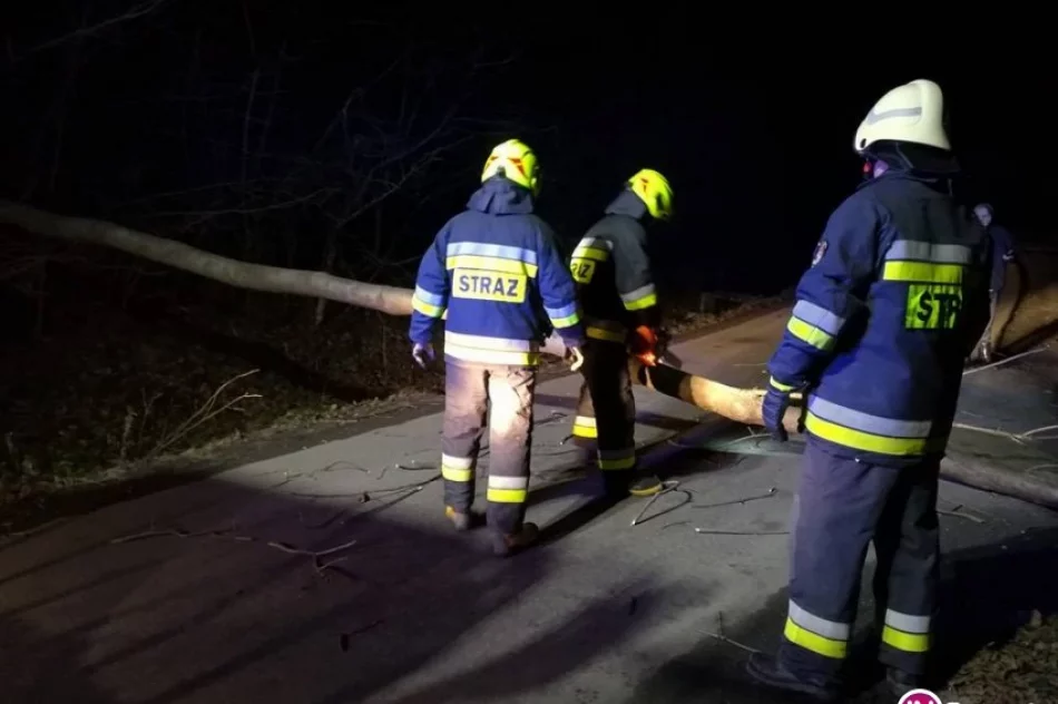 29 interwencji straży, 7 uszkodzonych dachów - zdjęcie 2