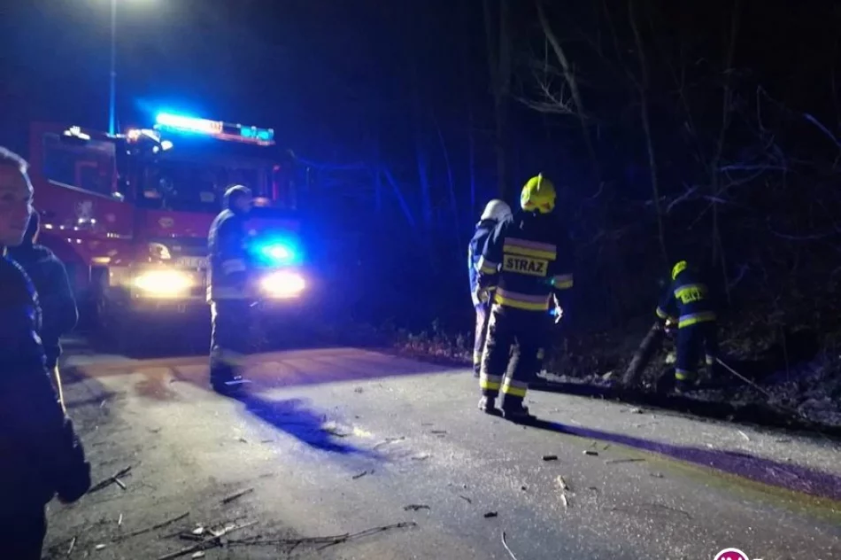 29 interwencji straży, 7 uszkodzonych dachów - zdjęcie 3