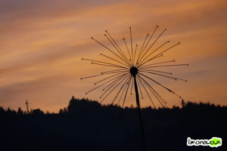 Wybuch i pożar w pawilonie - zdjęcie 14
