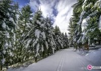 Uwaga, nadciąga halny - zdjęcie główne