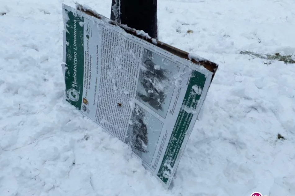 Wandale zniszczyli element ścieżki historyczno-edukacyjnej - zdjęcie 4