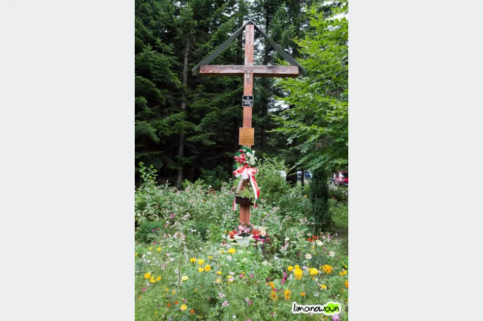 Raz świeciło słońce, raz padał deszcz - zdjęcie 2