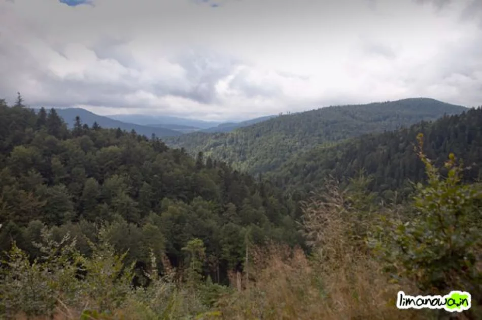 Raz świeciło słońce, raz padał deszcz - zdjęcie 3