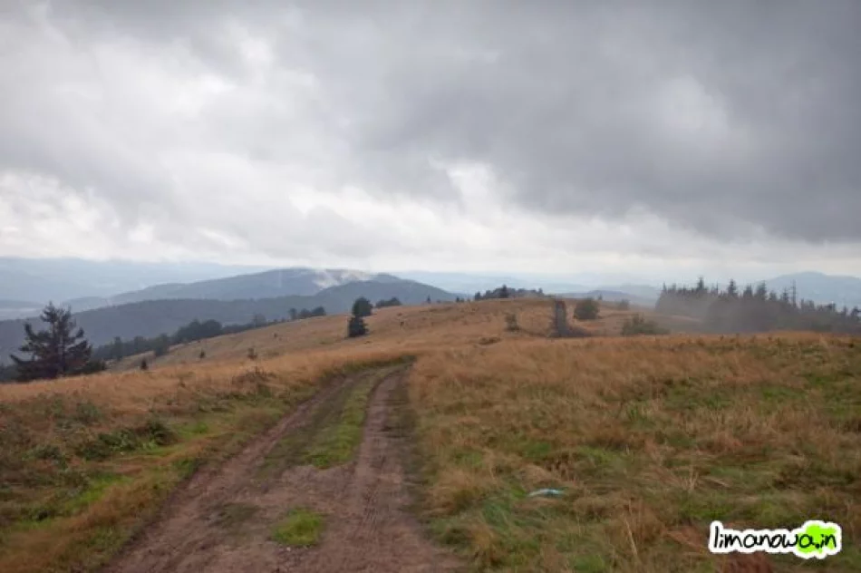 Raz świeciło słońce, raz padał deszcz - zdjęcie 4