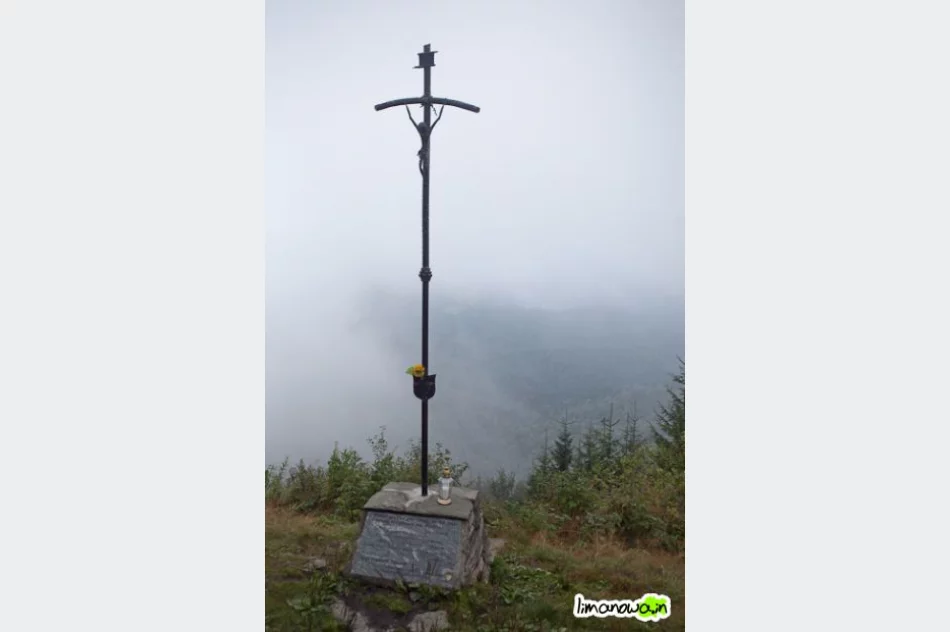 Raz świeciło słońce, raz padał deszcz - zdjęcie 13