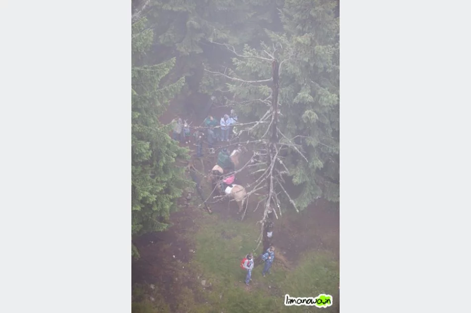 Raz świeciło słońce, raz padał deszcz - zdjęcie 19