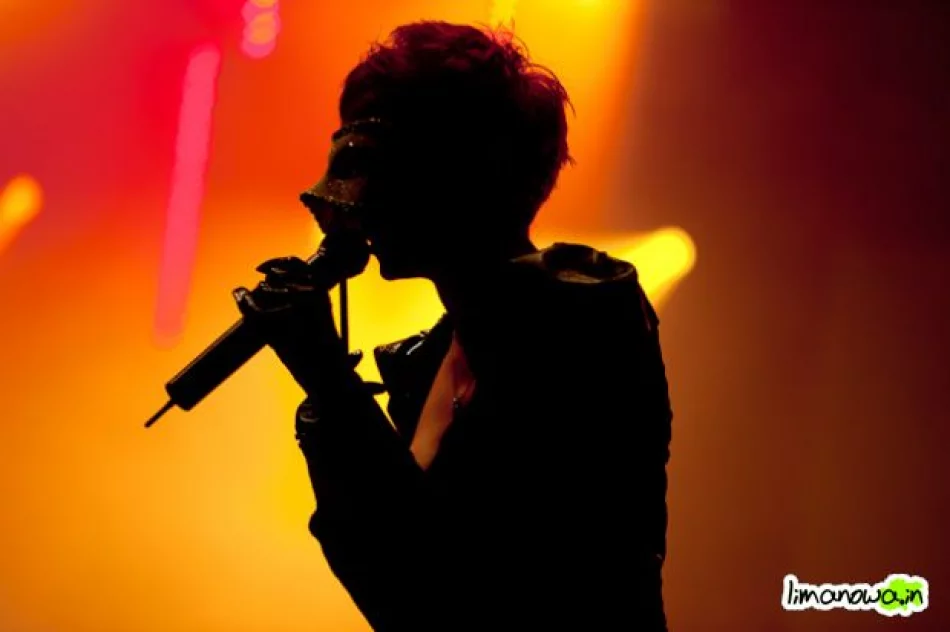 Dni Limanowej 2010 - sobota - zdjęcie 13