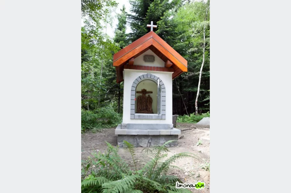 Nowa Droga Krzyżowa na Miejską Górę - zdjęcie 15