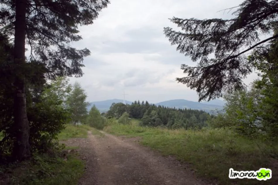 Nowa Droga Krzyżowa na Miejską Górę - zdjęcie 16