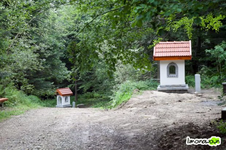 Nowa Droga Krzyżowa na Miejską Górę - zdjęcie 18