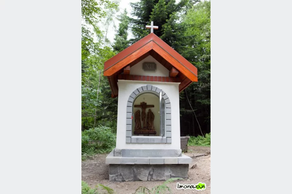 Nowa Droga Krzyżowa na Miejską Górę - zdjęcie 19