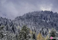 W czwartek może spaść nawet 30 cm śniegu - ostrzega IMiGW - zdjęcie główne