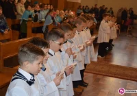 Święto Liturgicznej Służby Ołtarza - zdjęcie główne