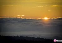 Ostrzeżenie o silnym wietrze - zdjęcie główne