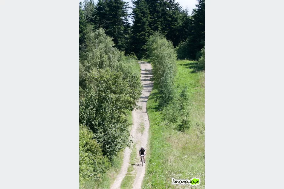 II Limanowa Forrest - bieg towarzyszacy 17,5 km - zdjęcie 14