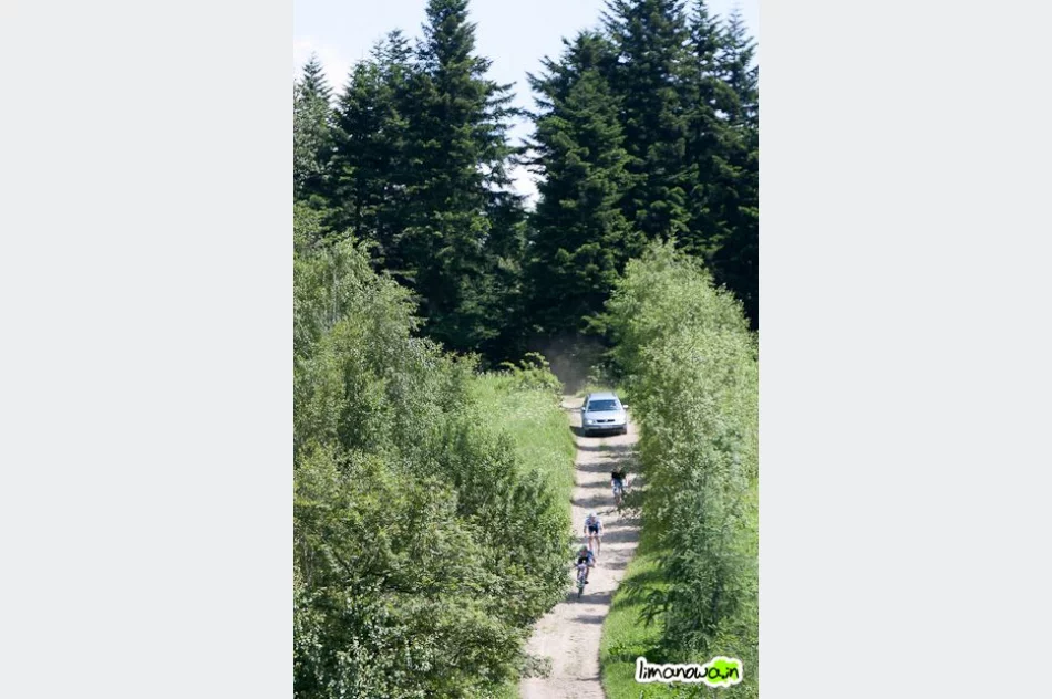 II Limanowa Forrest - bieg towarzyszacy 17,5 km - zdjęcie 15