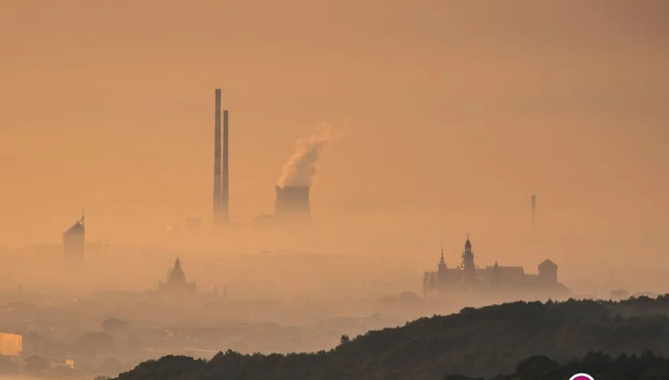 Smog zagraża dzieciom i wpływa na przyszłe zdrowie - zdjęcie 1