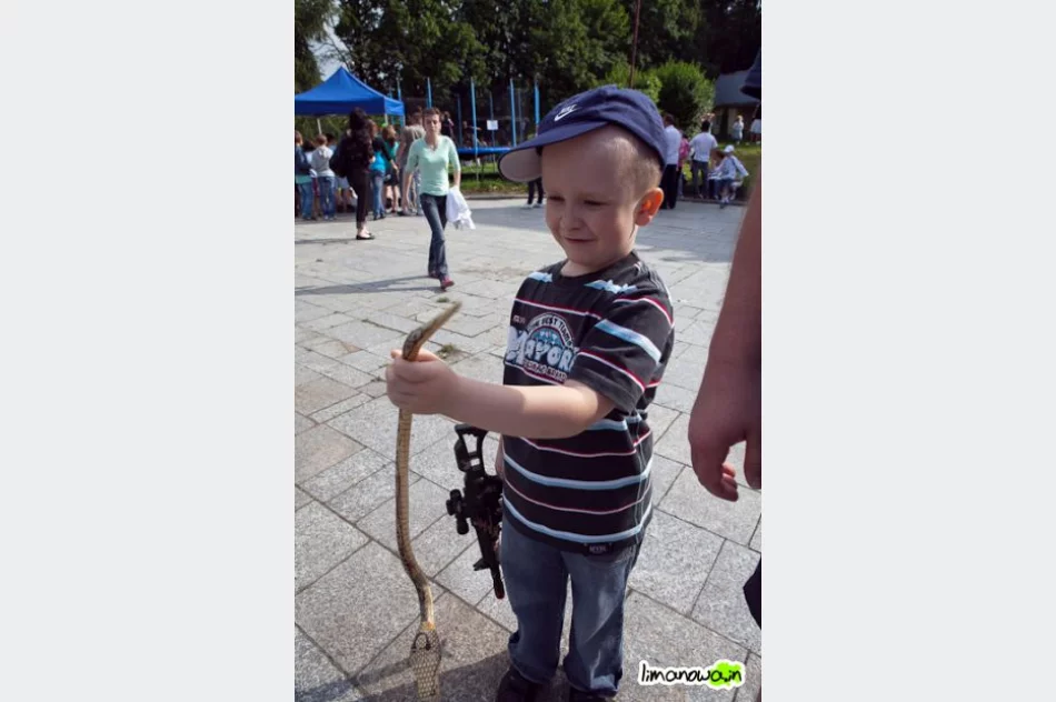 Dzień Dziecka i Biesiadne Grillowanie - zdjęcie 4