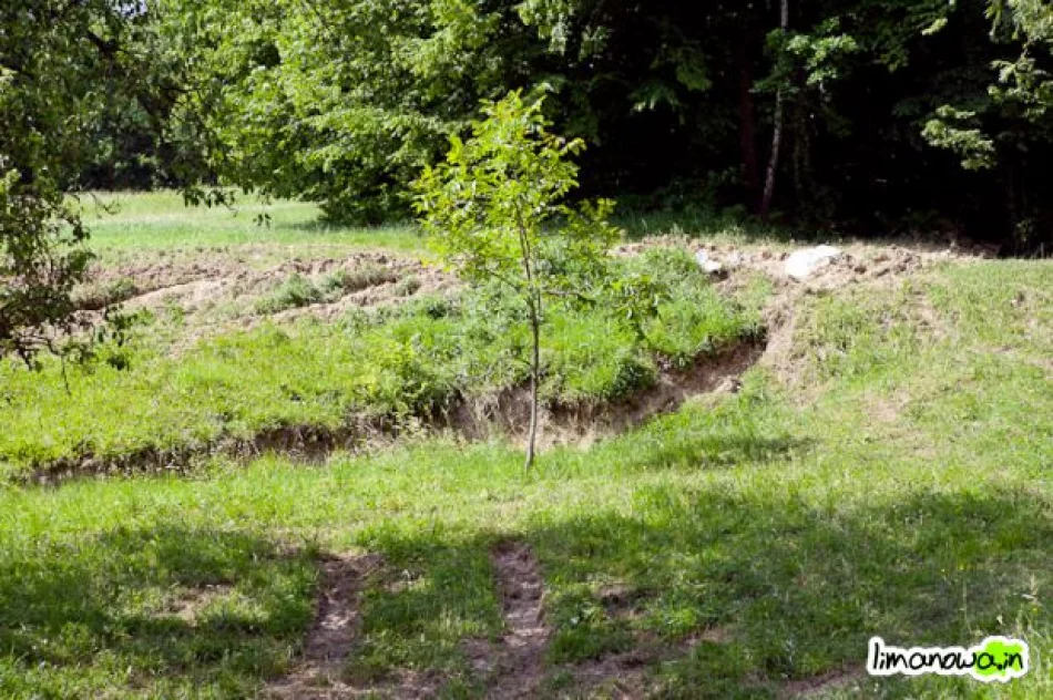 Osuwiska w gminie Laskowa - zdjęcie 2