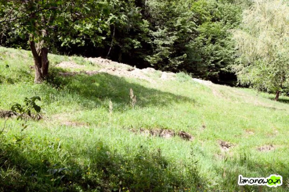 Osuwiska w gminie Laskowa - zdjęcie 9