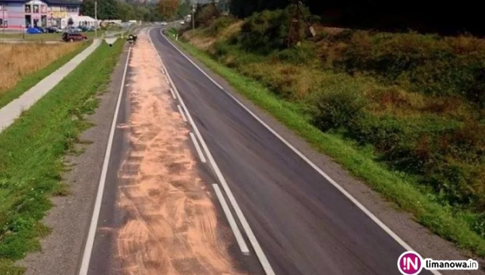 Strażacy neutralizują plamę oleju. Ma kilkanaście kilometrów - zdjęcie 1