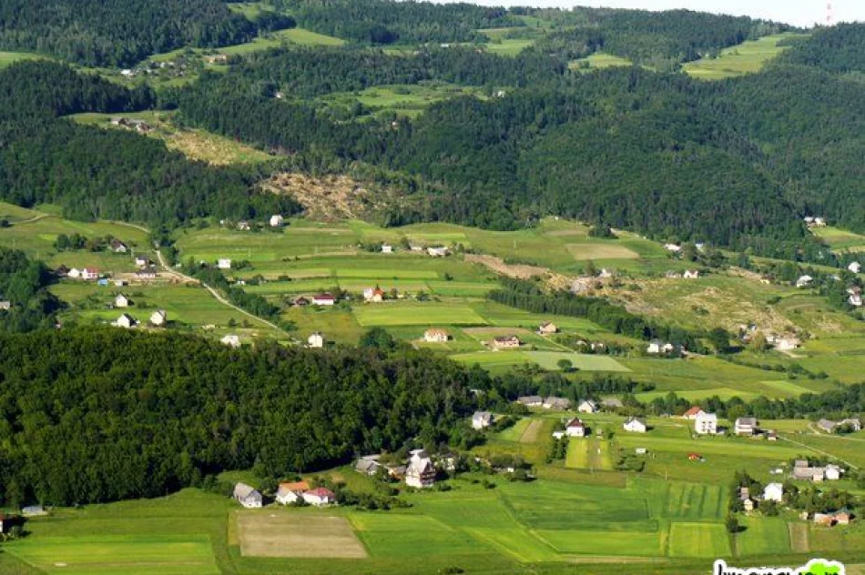 Osuwisko z lotu ptaka (aktualizacja 22:15 6 VI 2010) - zdjęcie 4